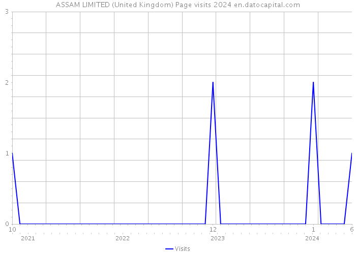 ASSAM LIMITED (United Kingdom) Page visits 2024 