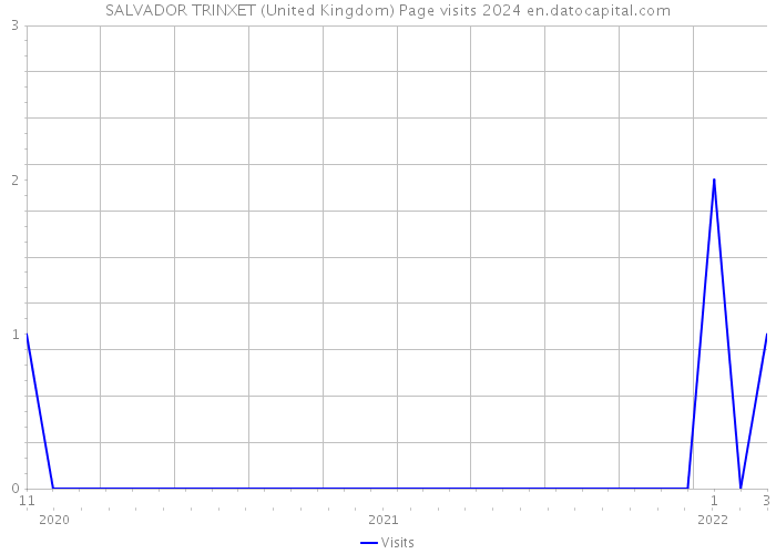 SALVADOR TRINXET (United Kingdom) Page visits 2024 