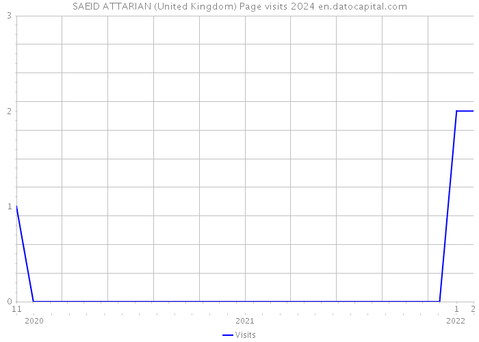 SAEID ATTARIAN (United Kingdom) Page visits 2024 