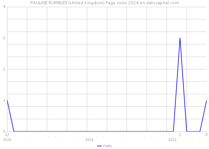PAULINE RUMBLES (United Kingdom) Page visits 2024 