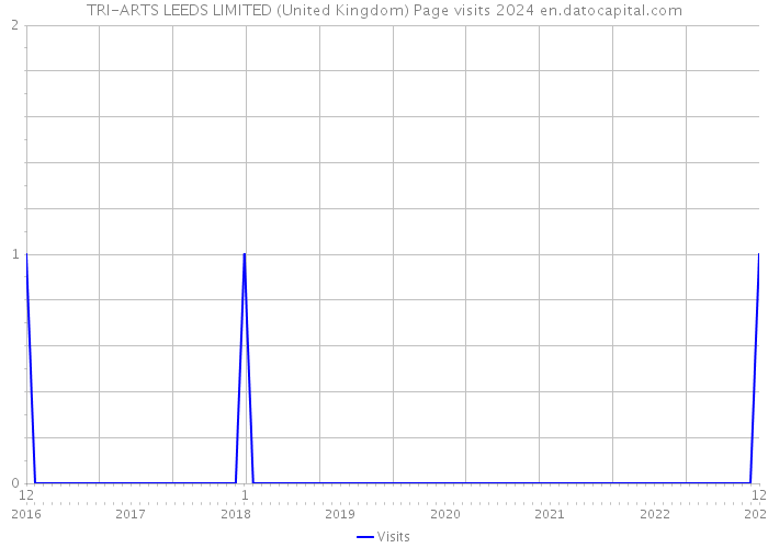TRI-ARTS LEEDS LIMITED (United Kingdom) Page visits 2024 