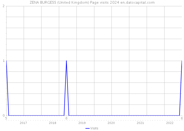 ZENA BURGESS (United Kingdom) Page visits 2024 