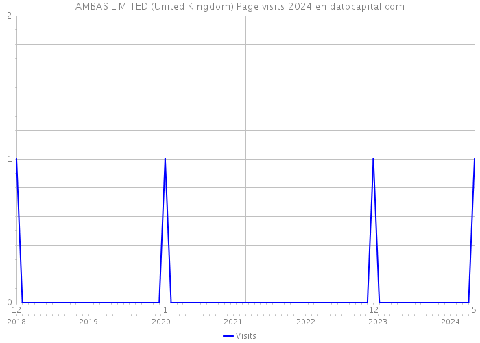 AMBAS LIMITED (United Kingdom) Page visits 2024 