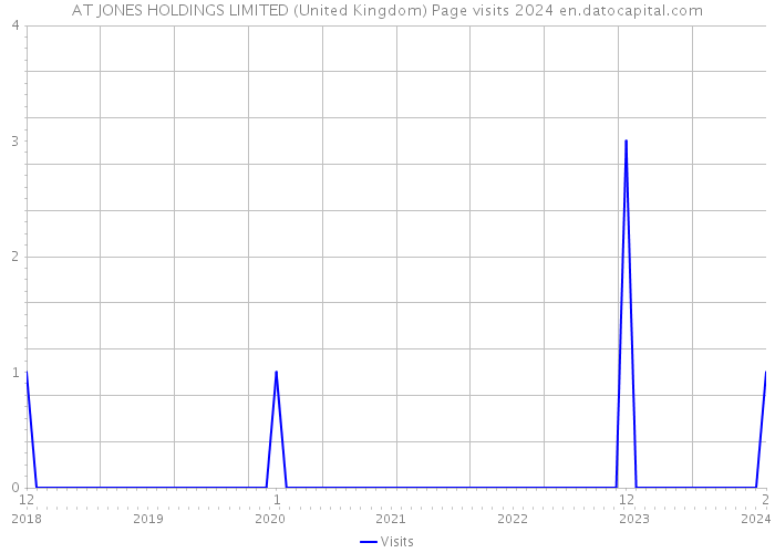 AT JONES HOLDINGS LIMITED (United Kingdom) Page visits 2024 