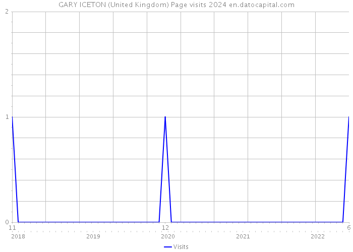 GARY ICETON (United Kingdom) Page visits 2024 