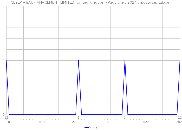 GEYER - BAUMANAGEMENT LIMITED (United Kingdom) Page visits 2024 