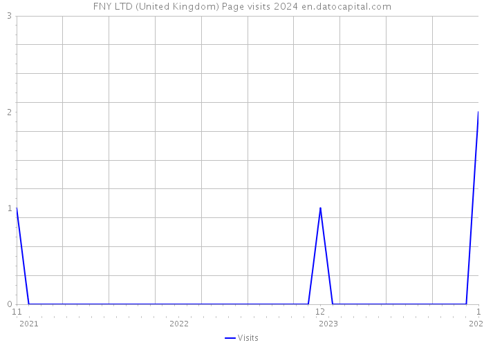 FNY LTD (United Kingdom) Page visits 2024 
