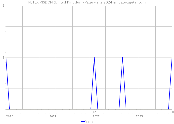 PETER RISDON (United Kingdom) Page visits 2024 