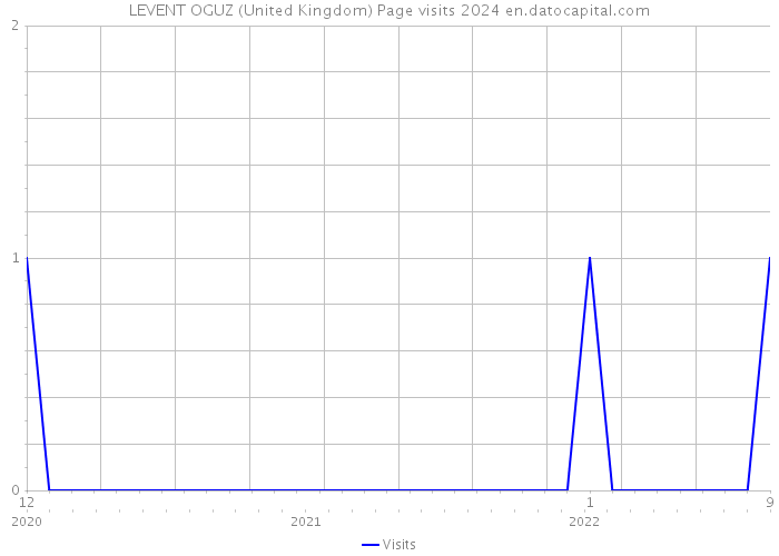 LEVENT OGUZ (United Kingdom) Page visits 2024 