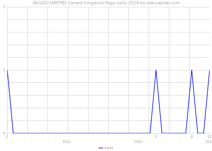 SAGGIO LIMITED (United Kingdom) Page visits 2024 