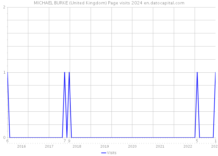 MICHAEL BURKE (United Kingdom) Page visits 2024 