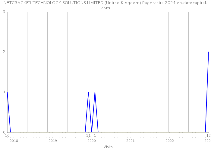 NETCRACKER TECHNOLOGY SOLUTIONS LIMITED (United Kingdom) Page visits 2024 