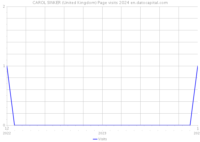 CAROL SINKER (United Kingdom) Page visits 2024 