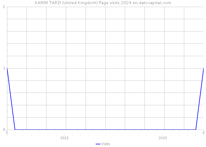 KARIM TARZI (United Kingdom) Page visits 2024 
