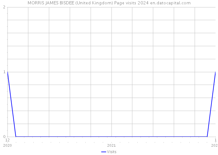 MORRIS JAMES BISDEE (United Kingdom) Page visits 2024 
