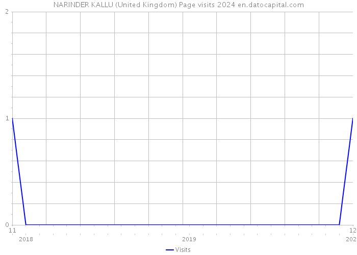 NARINDER KALLU (United Kingdom) Page visits 2024 