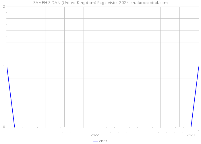 SAMEH ZIDAN (United Kingdom) Page visits 2024 