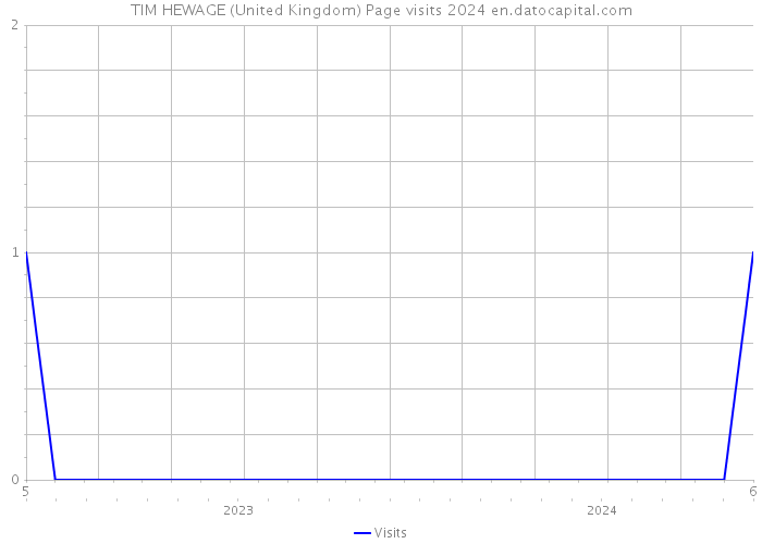 TIM HEWAGE (United Kingdom) Page visits 2024 