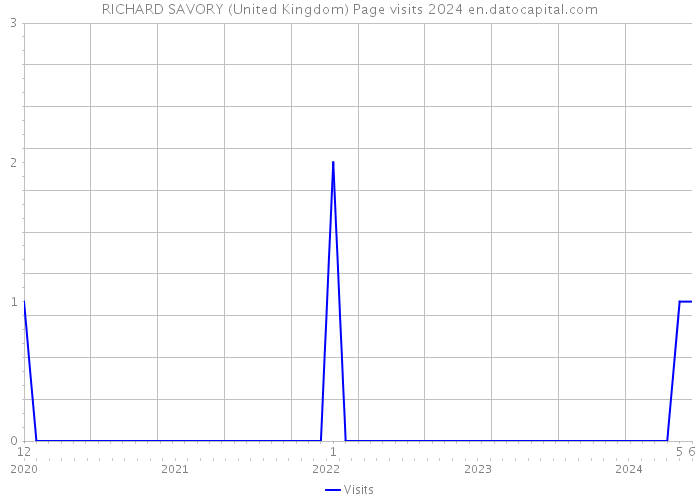 RICHARD SAVORY (United Kingdom) Page visits 2024 