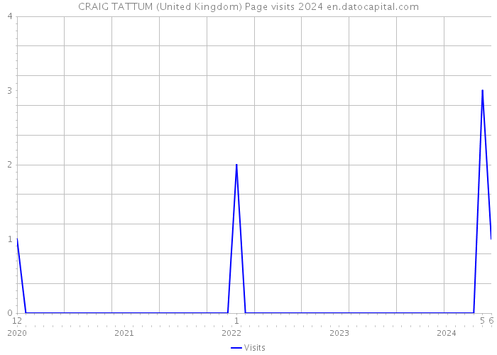 CRAIG TATTUM (United Kingdom) Page visits 2024 