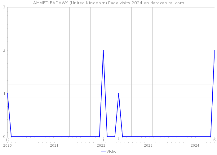 AHMED BADAWY (United Kingdom) Page visits 2024 