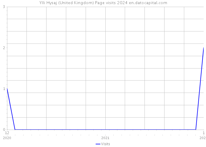 Ylli Hysaj (United Kingdom) Page visits 2024 