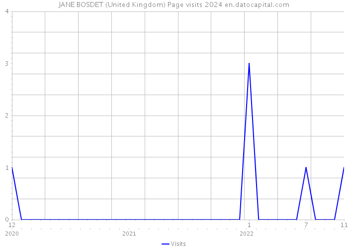 JANE BOSDET (United Kingdom) Page visits 2024 