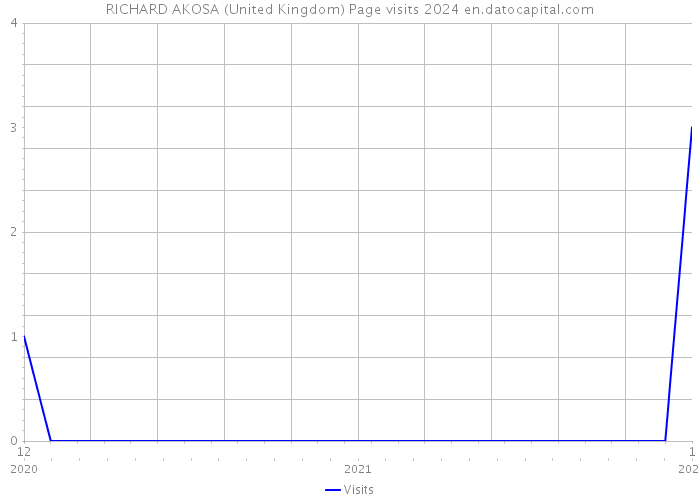 RICHARD AKOSA (United Kingdom) Page visits 2024 