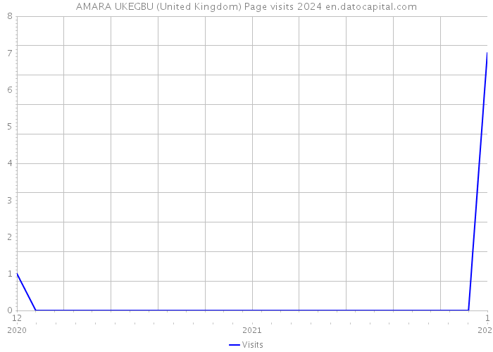 AMARA UKEGBU (United Kingdom) Page visits 2024 