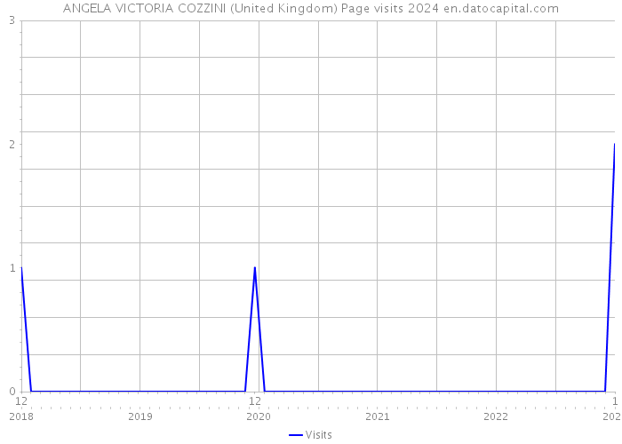 ANGELA VICTORIA COZZINI (United Kingdom) Page visits 2024 