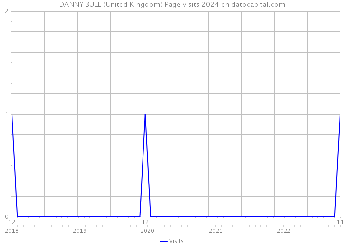 DANNY BULL (United Kingdom) Page visits 2024 