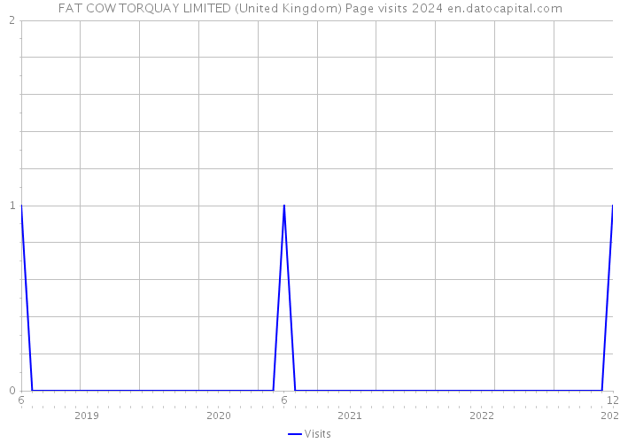 FAT COW TORQUAY LIMITED (United Kingdom) Page visits 2024 