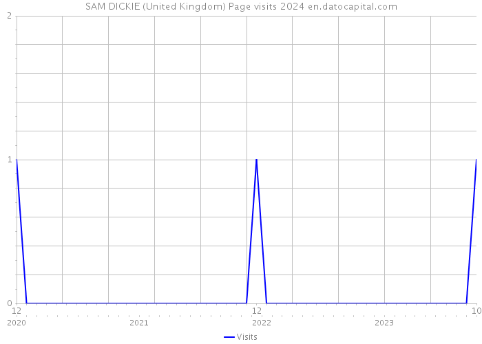 SAM DICKIE (United Kingdom) Page visits 2024 