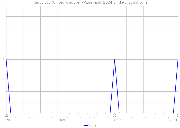 Cindy Lap (United Kingdom) Page visits 2024 