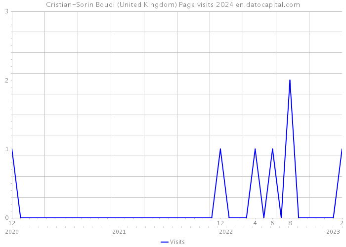 Cristian-Sorin Boudi (United Kingdom) Page visits 2024 