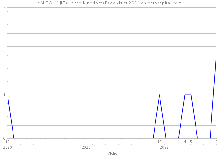AMIDOU NJIE (United Kingdom) Page visits 2024 