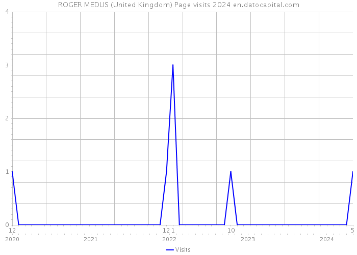 ROGER MEDUS (United Kingdom) Page visits 2024 