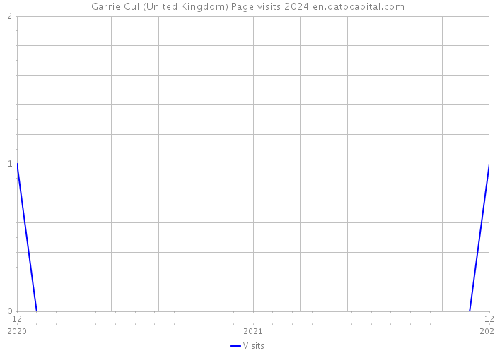 Garrie Cul (United Kingdom) Page visits 2024 