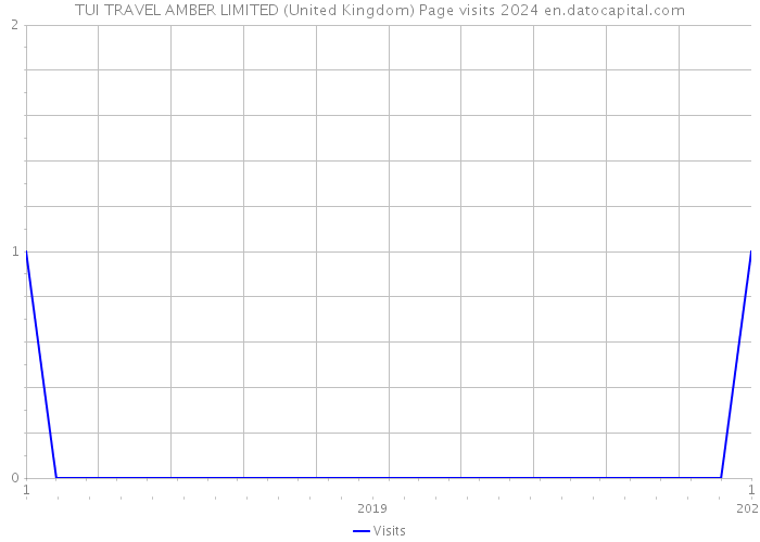 TUI TRAVEL AMBER LIMITED (United Kingdom) Page visits 2024 