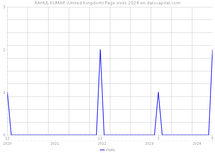 RAHUL KUMAR (United Kingdom) Page visits 2024 