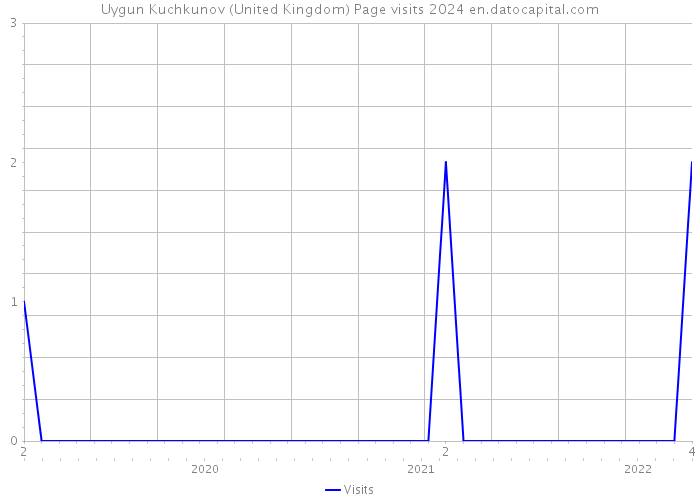 Uygun Kuchkunov (United Kingdom) Page visits 2024 