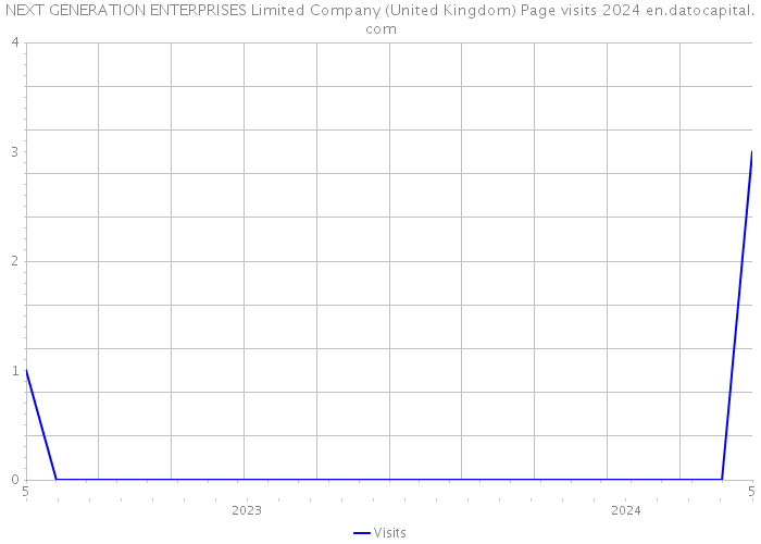 NEXT GENERATION ENTERPRISES Limited Company (United Kingdom) Page visits 2024 