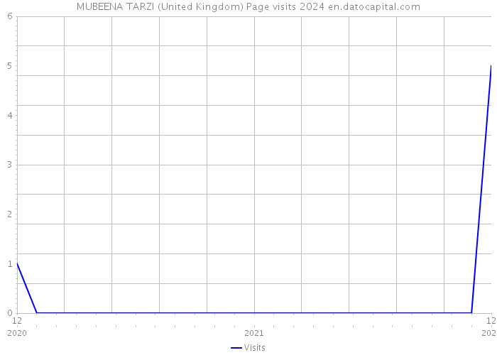 MUBEENA TARZI (United Kingdom) Page visits 2024 