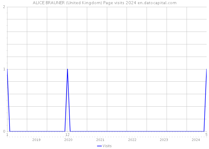 ALICE BRAUNER (United Kingdom) Page visits 2024 
