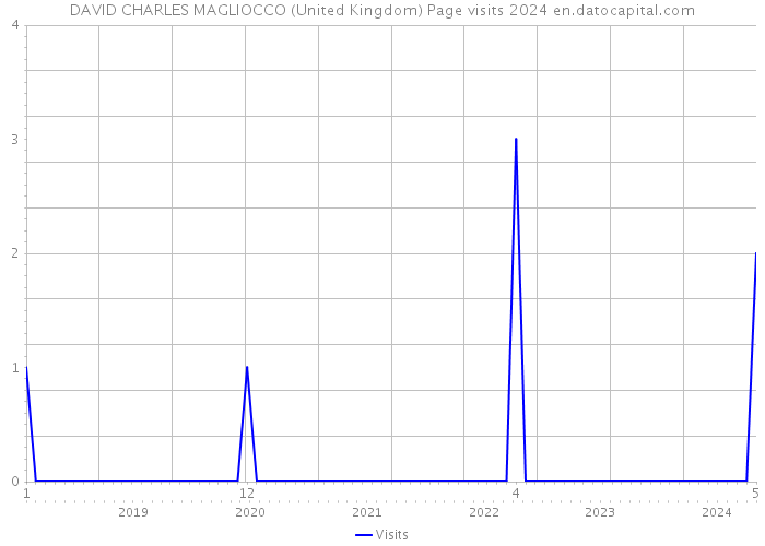 DAVID CHARLES MAGLIOCCO (United Kingdom) Page visits 2024 