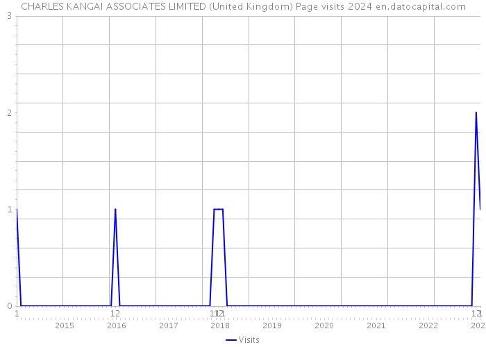 CHARLES KANGAI ASSOCIATES LIMITED (United Kingdom) Page visits 2024 