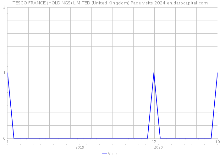 TESCO FRANCE (HOLDINGS) LIMITED (United Kingdom) Page visits 2024 
