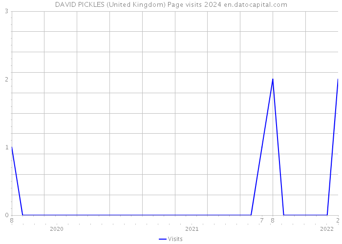 DAVID PICKLES (United Kingdom) Page visits 2024 