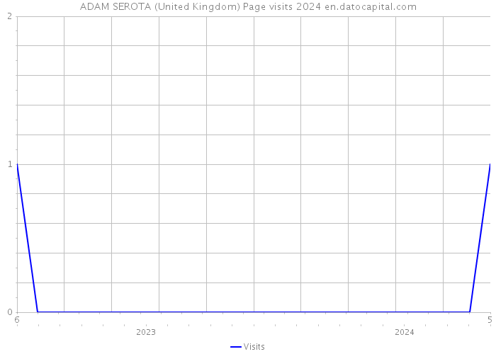 ADAM SEROTA (United Kingdom) Page visits 2024 