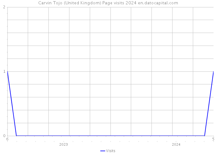 Carvin Tojo (United Kingdom) Page visits 2024 